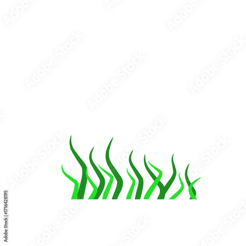 Green algae aquatic 