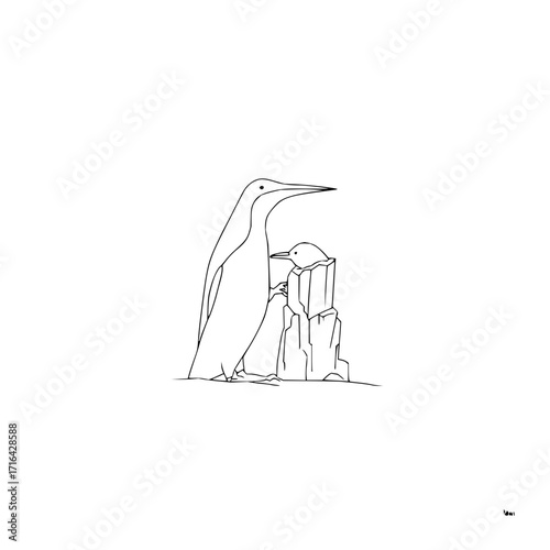 Penguin line art drawing illustration of antarctic birds with baby penguin on ice rocks vector image