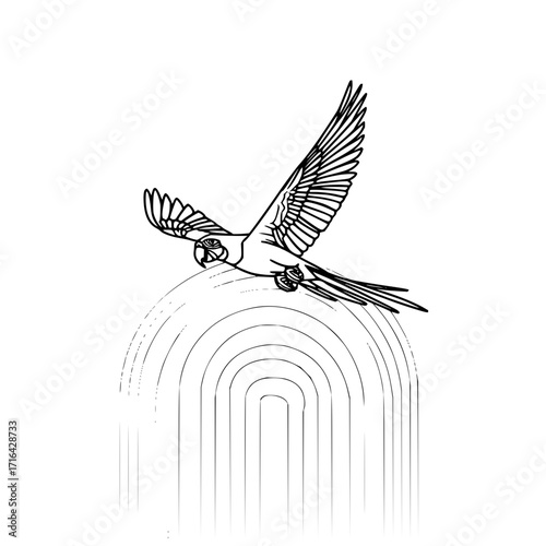 Flying parrot line art over rainbow illustration vector design tropical bird drawing exotic animal artwork