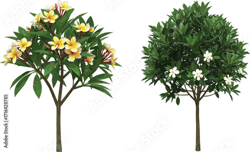tree, plant, flower, foliage, nature, botanical, garden, bloom, blossom, leaf, tropical, exotic, green, outdoor, landscape, vegetation, floral, natural, decorative, , plant, flower