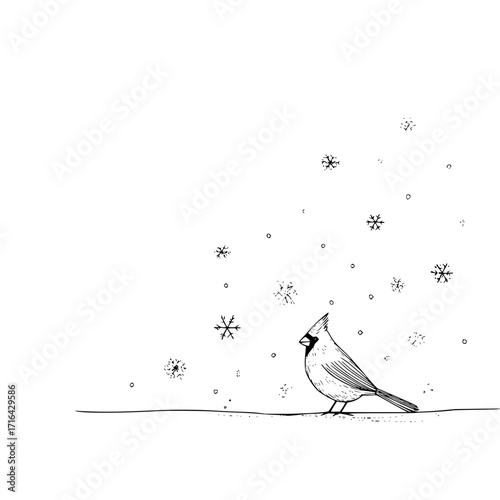 Cardinal bird in winter snow scene drawing black and white illustration christmas holiday seasonal greeting card art