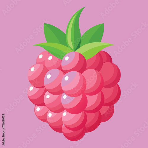 Vibrant raspberry design with soft gradient colors perfect for banners and advertisements