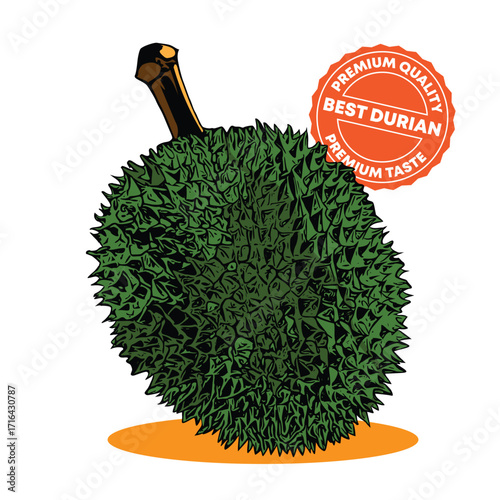 Durian fruit illustration, perfect for fruit store promo