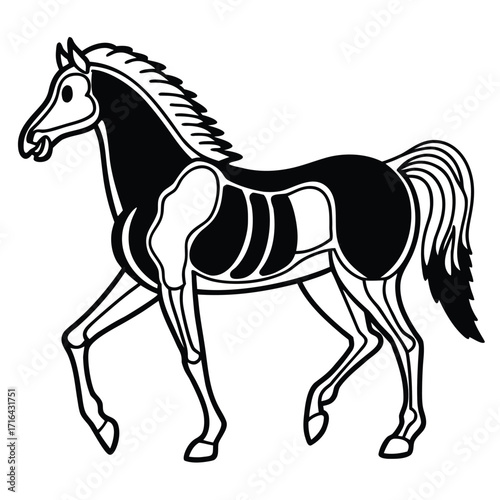 Elegant horse outline line art illustration with a focus on its majestic silhouette and flowing mane