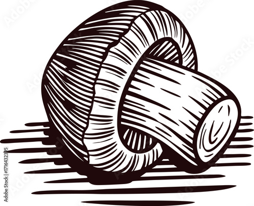 Detailed hand drawn illustration of a single mushroom with textured cap and stem on white background