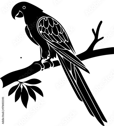 parrot on a branch vector