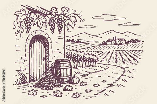 Vineyard landscape rustic sketch Tuscany France wine tourism vector illustration