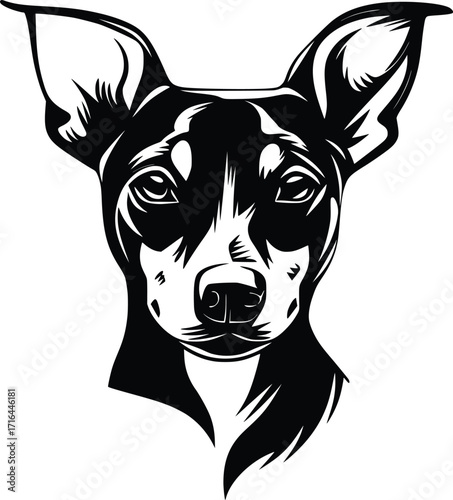 Rat Terrier head silhouette with upright ears, sharp muzzle, and focused eyes in black vector