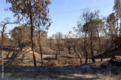 incêndios