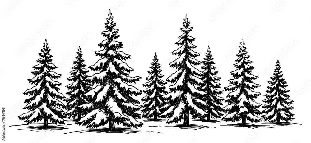 Obraz premium Snow Covered Fir Trees Woodland Scene in Winter Hand Drawn Black and White Outline Line Art Drawing