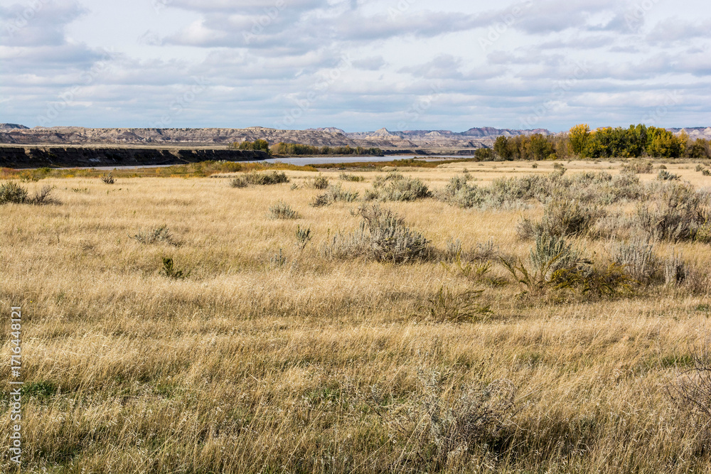 Fototapeta premium grass and sky