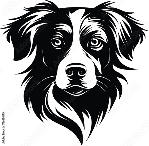 Nova Scotia Duck Tolling Retriever head silhouette with soft fur, alert eyes, and broad muzzle