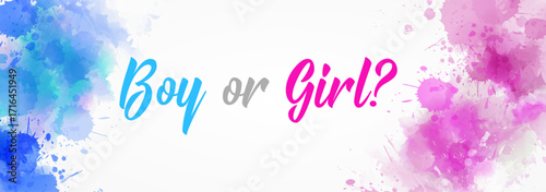 Boy or girl. Gender reveal illustration. Inspirational  modern calligraphy lettering on watercolor painted splash. Template typography forhorizontal banner.