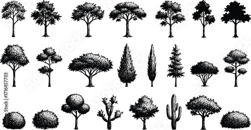 Collection of tree silhouettes, various forest and garden plants, natural landscape elements, eco illustration, outdoor greenery, park and nature design