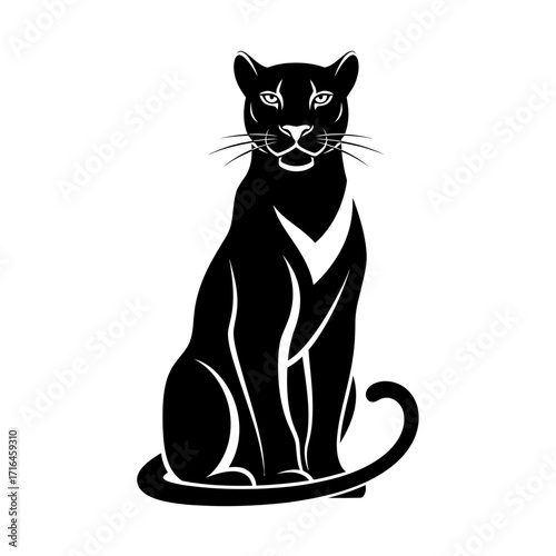 black cat on white background