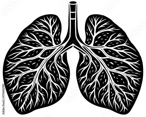 Human Lungs Silhouette, Medical Science SVG, PNG