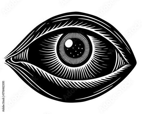 Human Eye Silhouette, Anatomy Science SVG, PNG