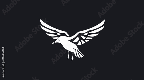 White bird spreading its wings against a dark background, creating a minimalist and symbolic image.