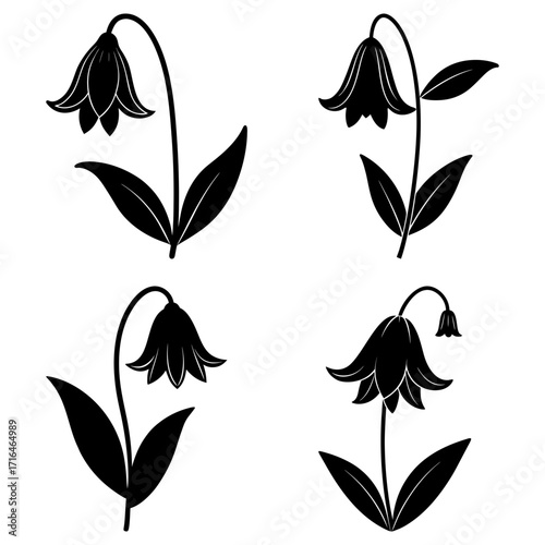 Illustration of four bellflower plants with leaves and stems in a black and white silhouette style