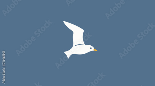 A solitary white seagull soars gracefully against a serene, muted blue background.