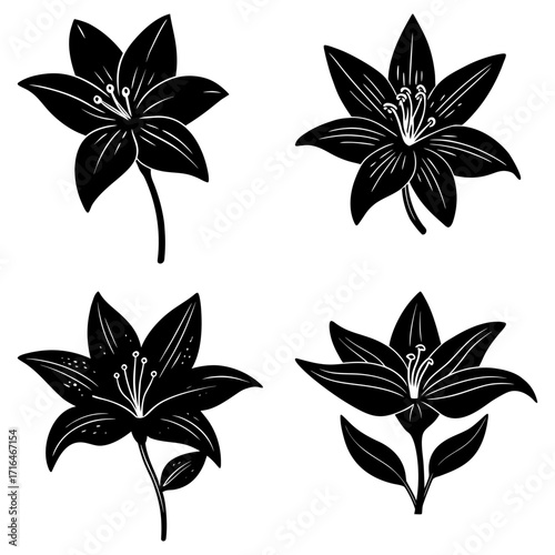 Four stylized black lilies with prominent stamens and petals arranged in a symmetrical botanical pattern
