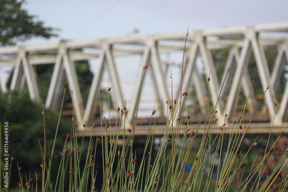 Obraz premium Steel bridge structure with green grass in foreground during daylight scene