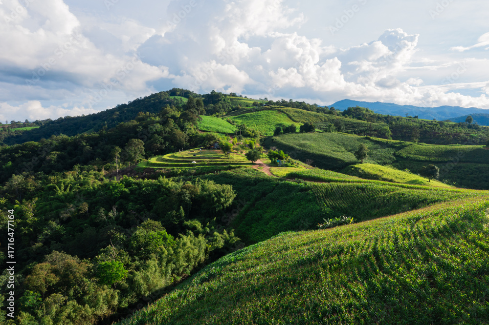 Fototapeta premium Aerial view of rice terraces and village in Loei province, Thailand.