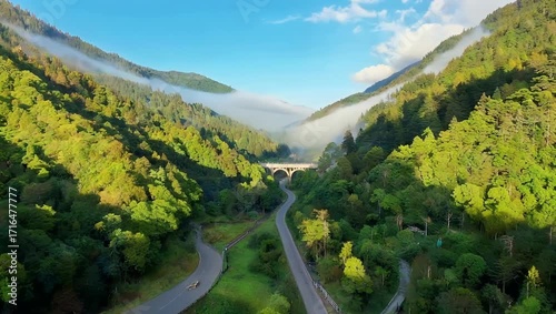 Scenic Drone Footage of Evergreen Forest Mountains Shrouded in Mist