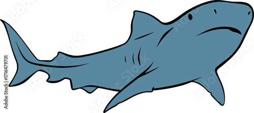 shark