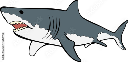 shark