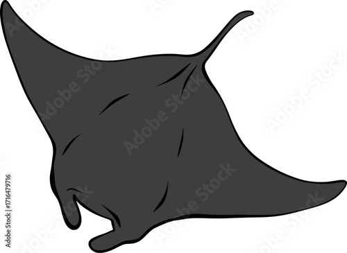 shark