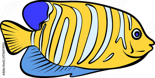 Bright Shoal Basslet Clipart