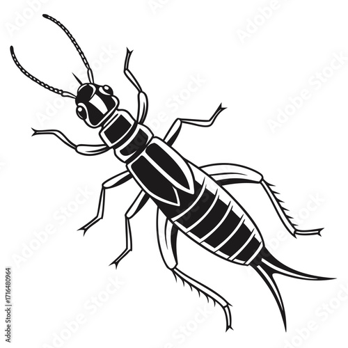 vector illustration of a black beetle