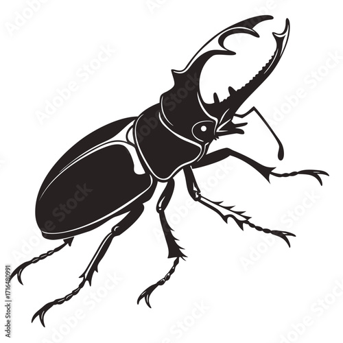 bug vector illustration