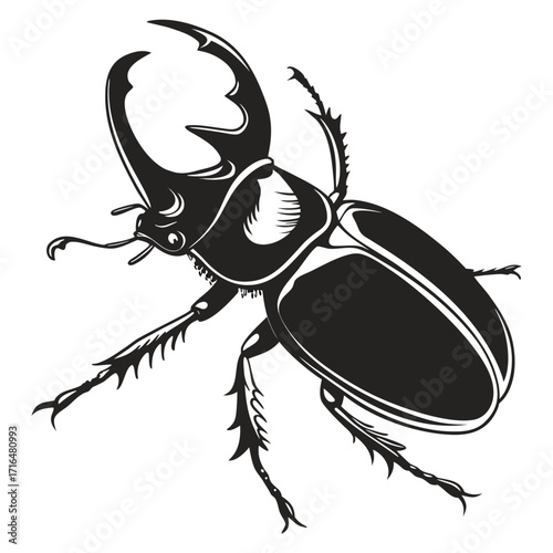 black beetle vector illustration