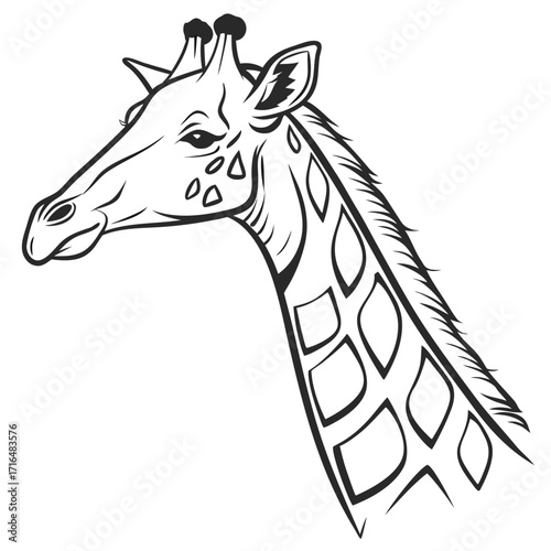 Vibrant hand-drawn green broccoli illustration, a healthy fresh vegetable design perfect for organic food branding, nutritional content, or cooking-themed graphics