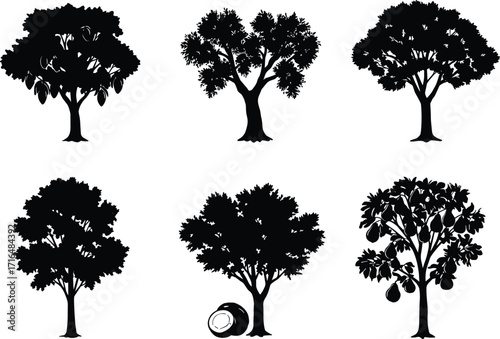 Collection of six black fruit tree silhouettes with mango, coconut, jackfruit and natural orchard plants, isolated vector illustration design set