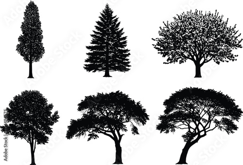 Collection of six detailed tree silhouettes including pine, poplar, deciduous, and tropical species, black vector illustration for eco landscape design