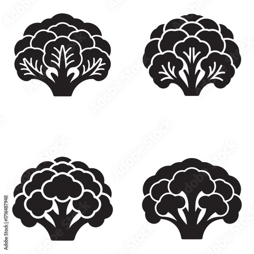 Collection of cauliflower silhouettes isolated on white background for design elements