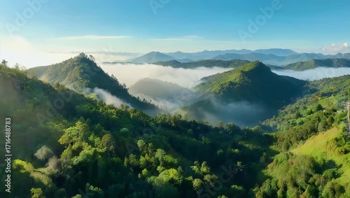 Stunning Aerial View of Sunlit Evergreen Mountains with Misty Atmosphere