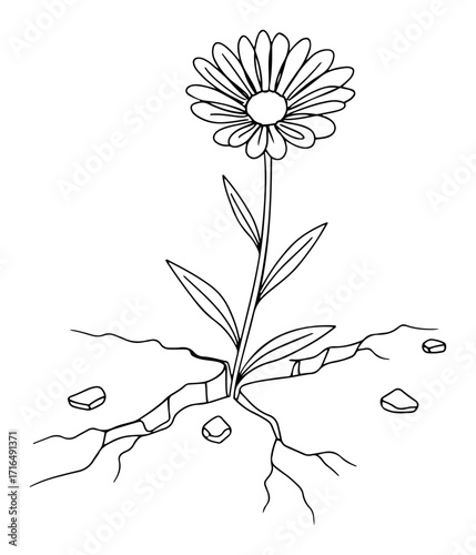 One Line Flower Growing Through Cracked Ground Vector Illustration