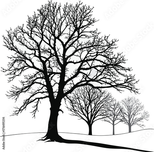 A lonely black silhouette of a bare winter tree stands isolated against the white snowy landscape.