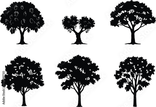 Collection of six tropical tree silhouettes including mango tree with fruits, natural orchard plants, black vector illustration set for eco design