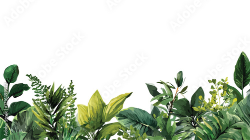 Lush Green Botanical Jungle Border Nature Photo