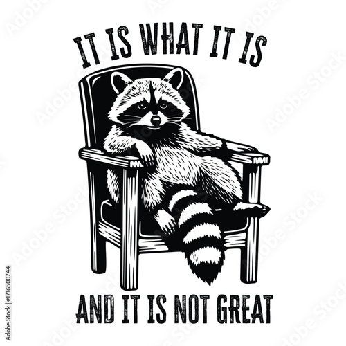 It Is What It Is And It Is Not Great Funny Raccoon Graphic