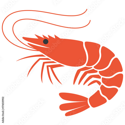 shrimp on white background