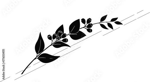 Elegant black silhouette of a delicate branch with berries and leaves on a clean white background.