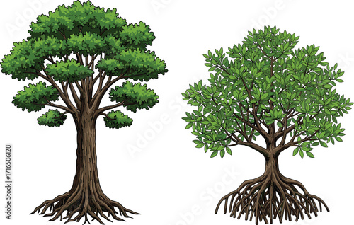 Green tree with roots, detailed foliage illustration, nature design, botanical vector, isolated on white background, forest element, plant life, environmental concept