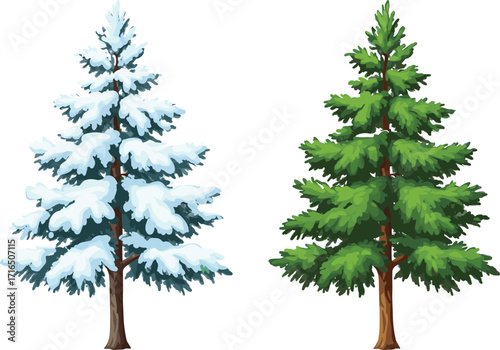 Snow-covered pine tree and green evergreen tree illustration, winter and summer seasons, nature design, cartoon style, isolated on white background