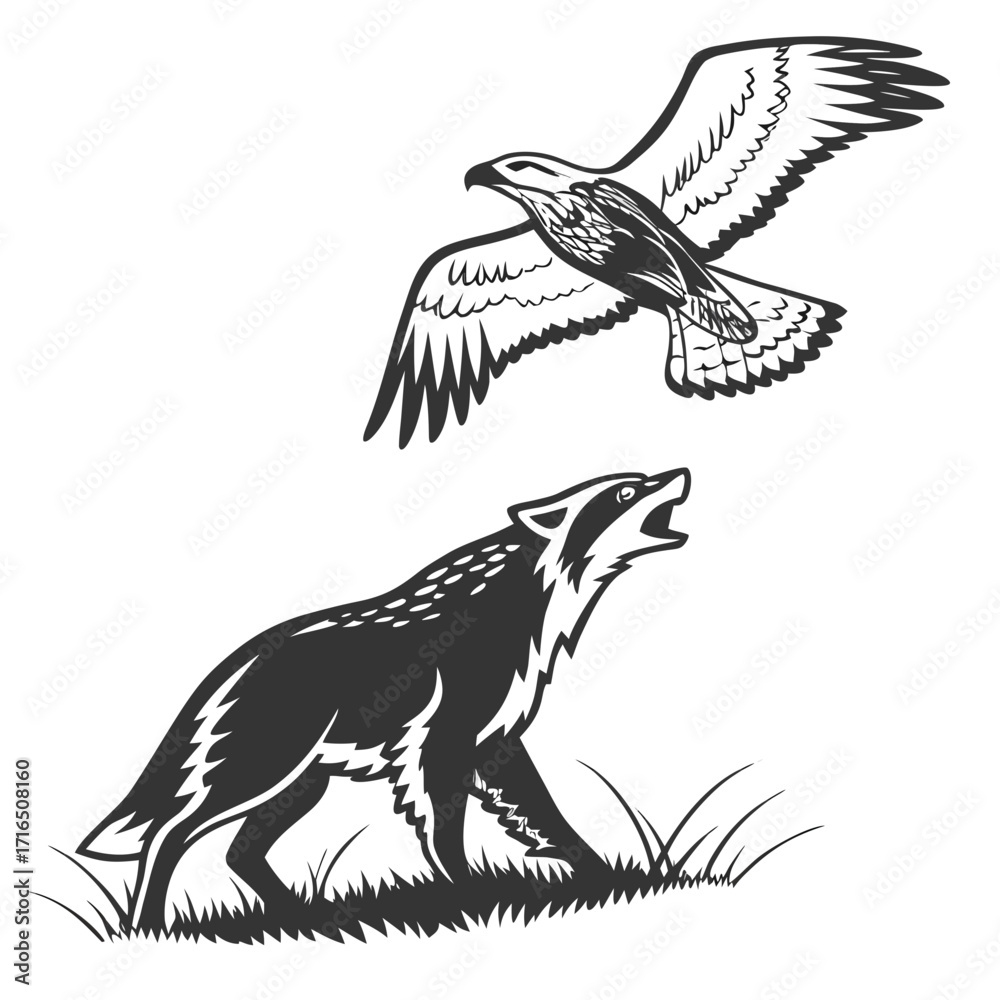 Obraz premium Eagle soaring above a wolf howling on grass